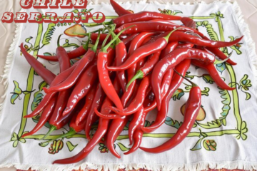 Chile Serrano