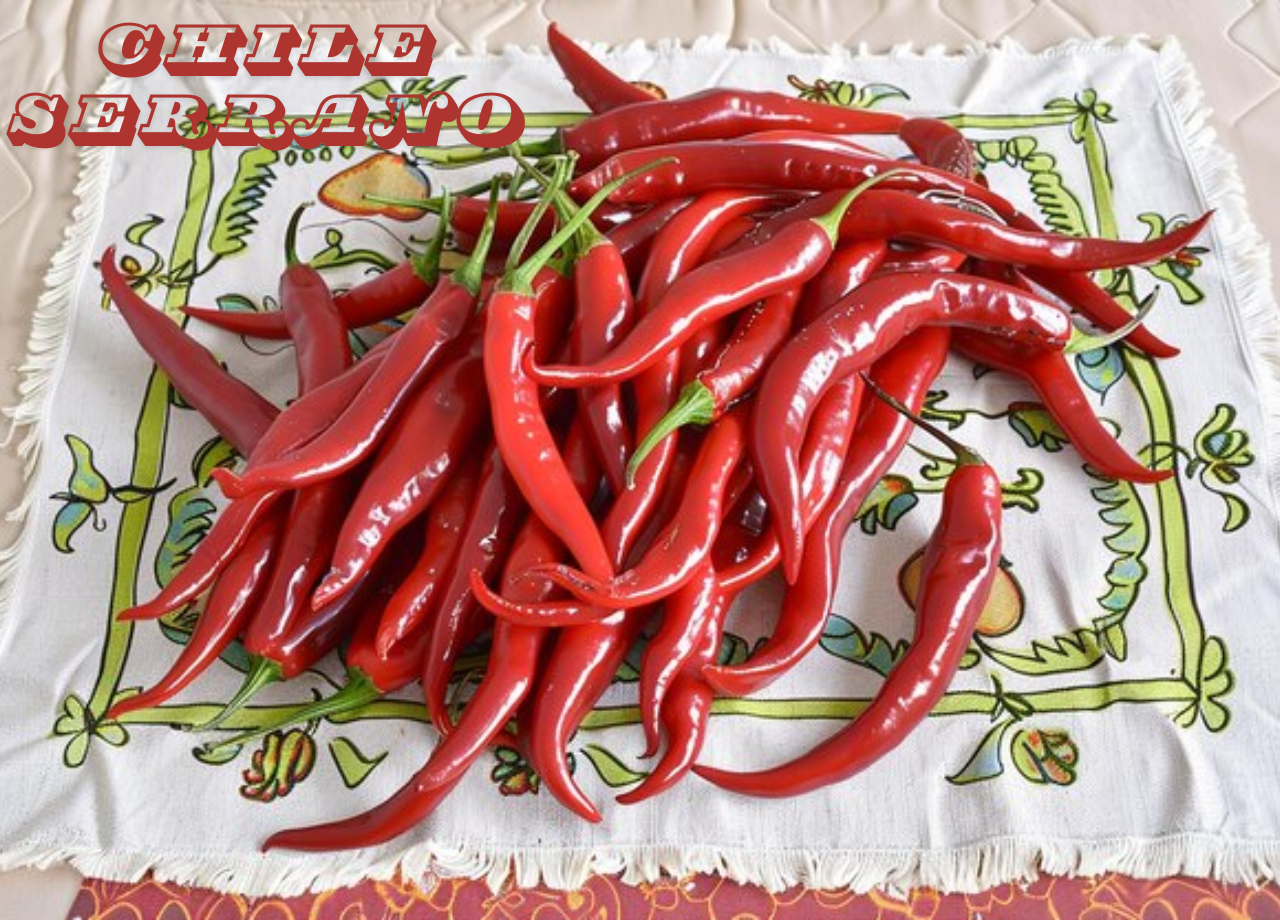 Chile Serrano