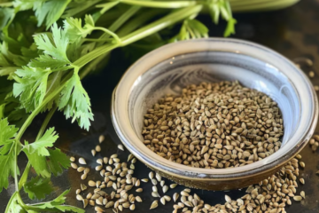 Coriander Seeds